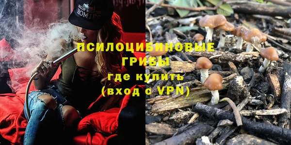 ALPHA PVP Алексеевка