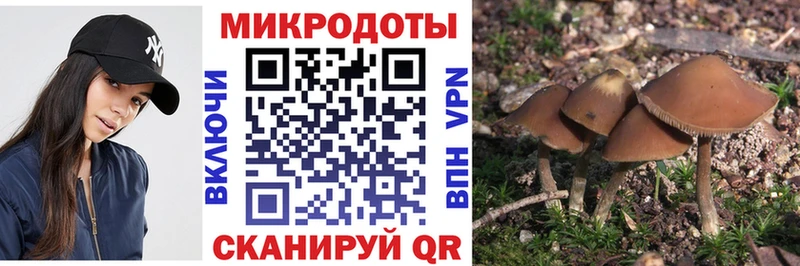 Галлюциногенные грибы ЛСД  дарнет шоп  Бронницы 